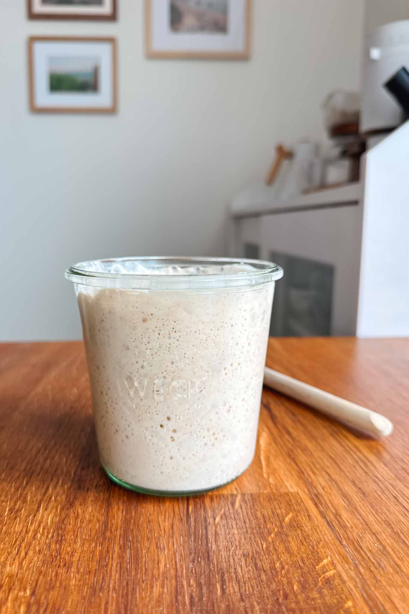 Active sourdough starter on table