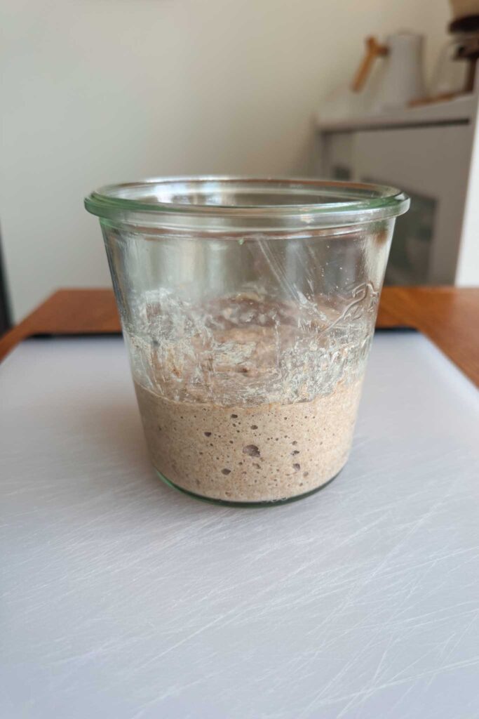 Sourdough starter first bubbles after 24 hours
