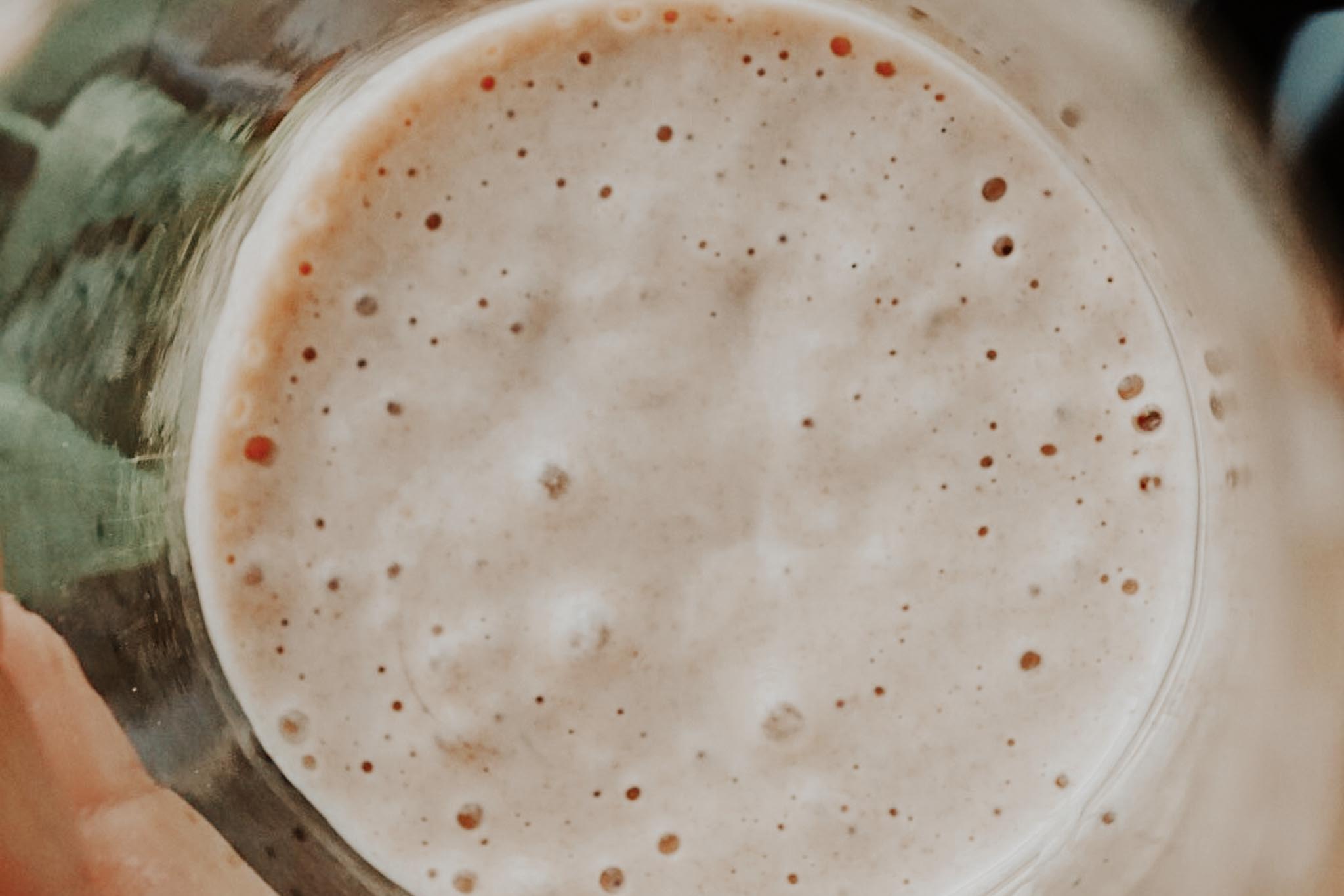Sourdough starter bubbles in jar