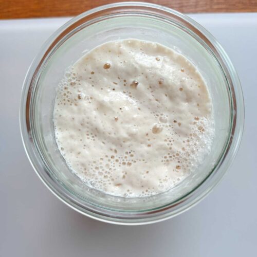 Sourdough starter bubbles overhead