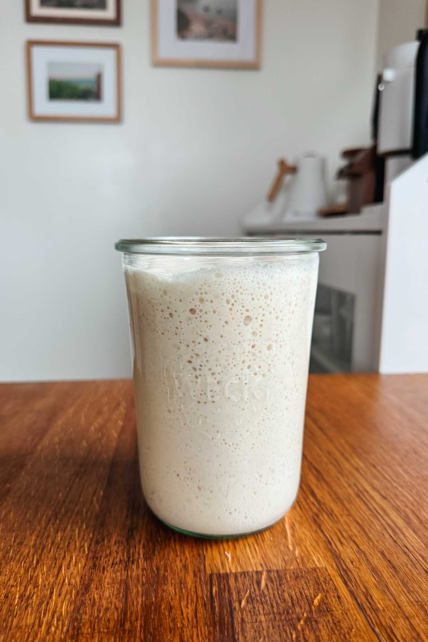 sourdough starter in large jar