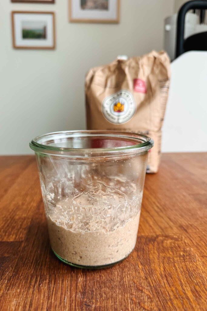 Whole wheat flour and water mixed together with flour in background. 